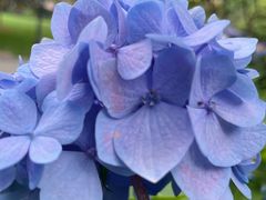 -常州古运河南大街文化旅游区-人民公园