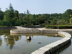 -聚龙山公园