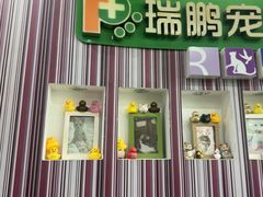 -瑞鹏·疫苗·绝育·宠物医院(金沙洲店)