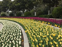 -上海鲜花港