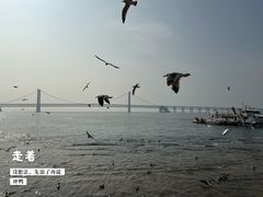 -天顺渔港·海景餐厅(星海广场店)