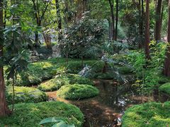 -成都市活水公园