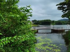 -济州森林小火车生态公园