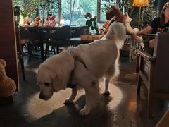 -咖法森林·咖啡  酒吧(天河店)