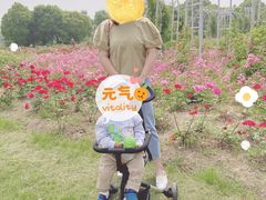 -尚贤河湿地
