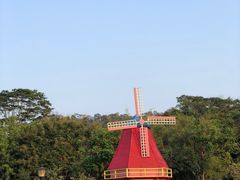 -东莞植物园