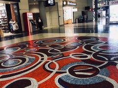 -达拉斯 沃斯堡国际机场