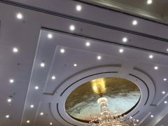 -圣爵菲斯大酒店(长沙世界之窗店)