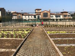 -上海崇明金茂凯悦酒店