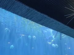 -西安华夏文旅水世界