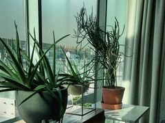 -半山腰·云南菜(侨福芳草地店)