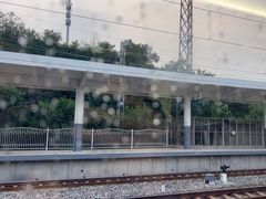 -中国石化加油站(路顺鑫加油站)