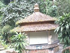 -莫里热带雨林景区