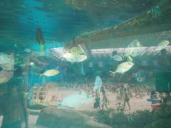 景点-波塞冬旅游度假区