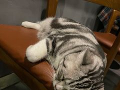 -咖法森林·咖啡  酒吧(天河店)