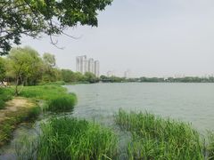-蠡湖大桥公园