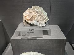 -湖南省地质博物馆
