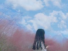 -白鹭湾湿地公园