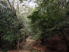 -缥缈峰景区