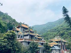 -南海湾森林生态园