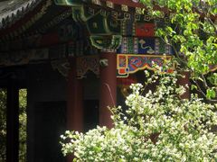 -宣武艺园