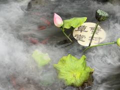 -蟹村草堂·苏式园林人文农家·大闸蟹