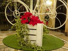 -碧桂园凤凰城酒店(南京店)