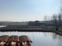 -溱湖国家湿地公园