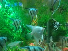 -秦皇岛新澳海底世界