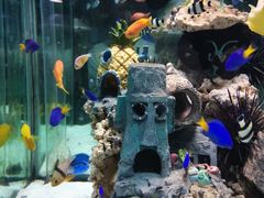 -太平洋海底世界