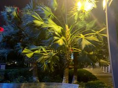 -無名记忆Music Bar夜景怀旧酒吧