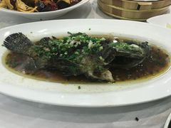 豉油蒸石斑鱼-红城阁·上海味道(四平路店)