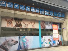 -格蕾宠物医院24H·猫科·肿瘤科·骨科中心(福州总院)