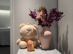 -三只熊皮肤管理中心旗舰店