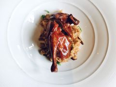 乳鸽-三号黄浦会Canton Table