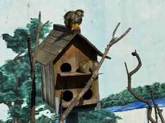 -西霞口神雕山野生动物世界