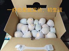 -喜越泰莱·泰越料理(海逸新天地店)