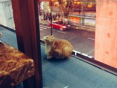 -朱氏胖子烂火锅(洪崖洞店)