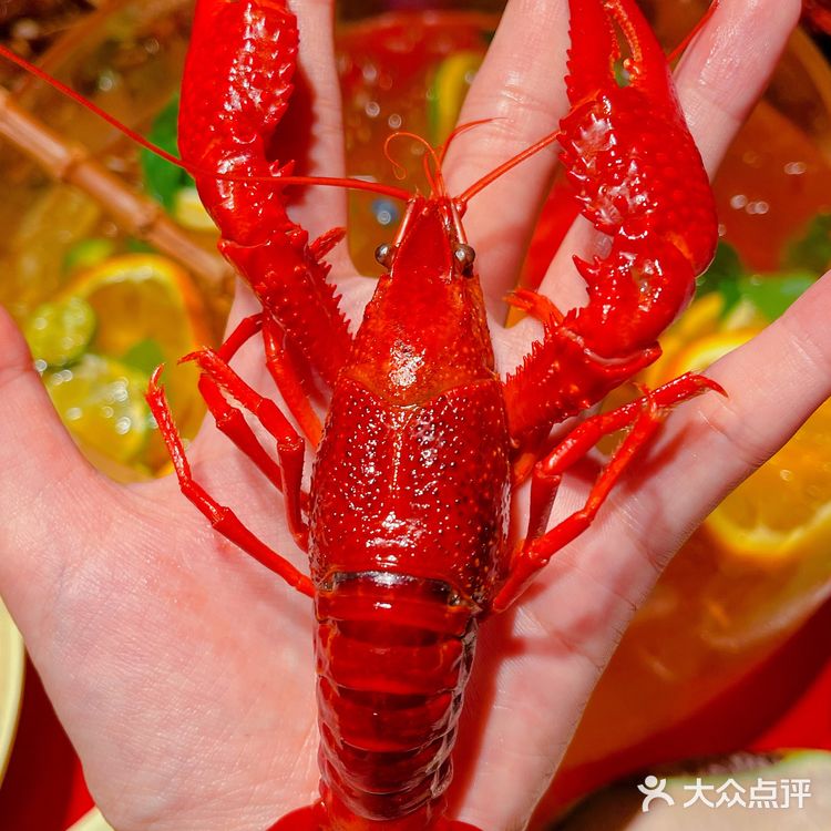 可口可乐玻璃瓶回归啦！碰撞出夏天的快乐！