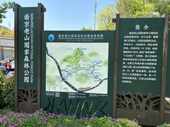 -南京老山国家森林公园