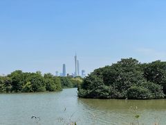 -海珠湖公园