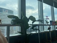 -马泷齿科·成都锦江置略马泷口腔门诊部(IFS国金中心店)