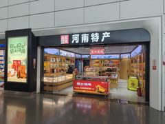 -郑州新郑国际机场-T2航站楼