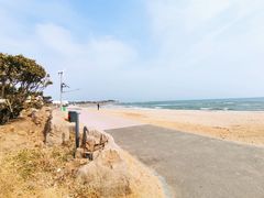 -青岛金沙滩