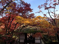 -常寂光寺