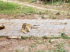 -深圳野生动物园