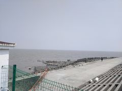 -碧海金沙