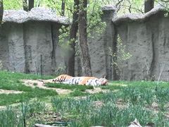 -北京野生动物园