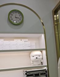 -苗医生0感科技祛痘