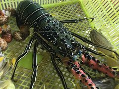 -班赞海鲜市场